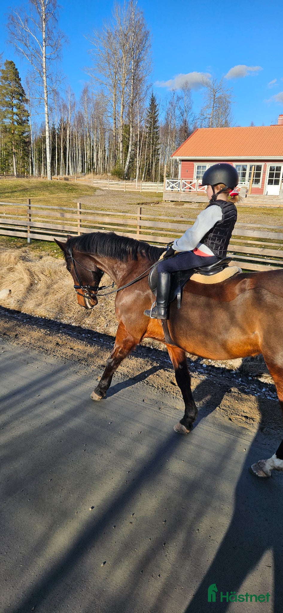  hästar Foderponny sökes! - Annons 6