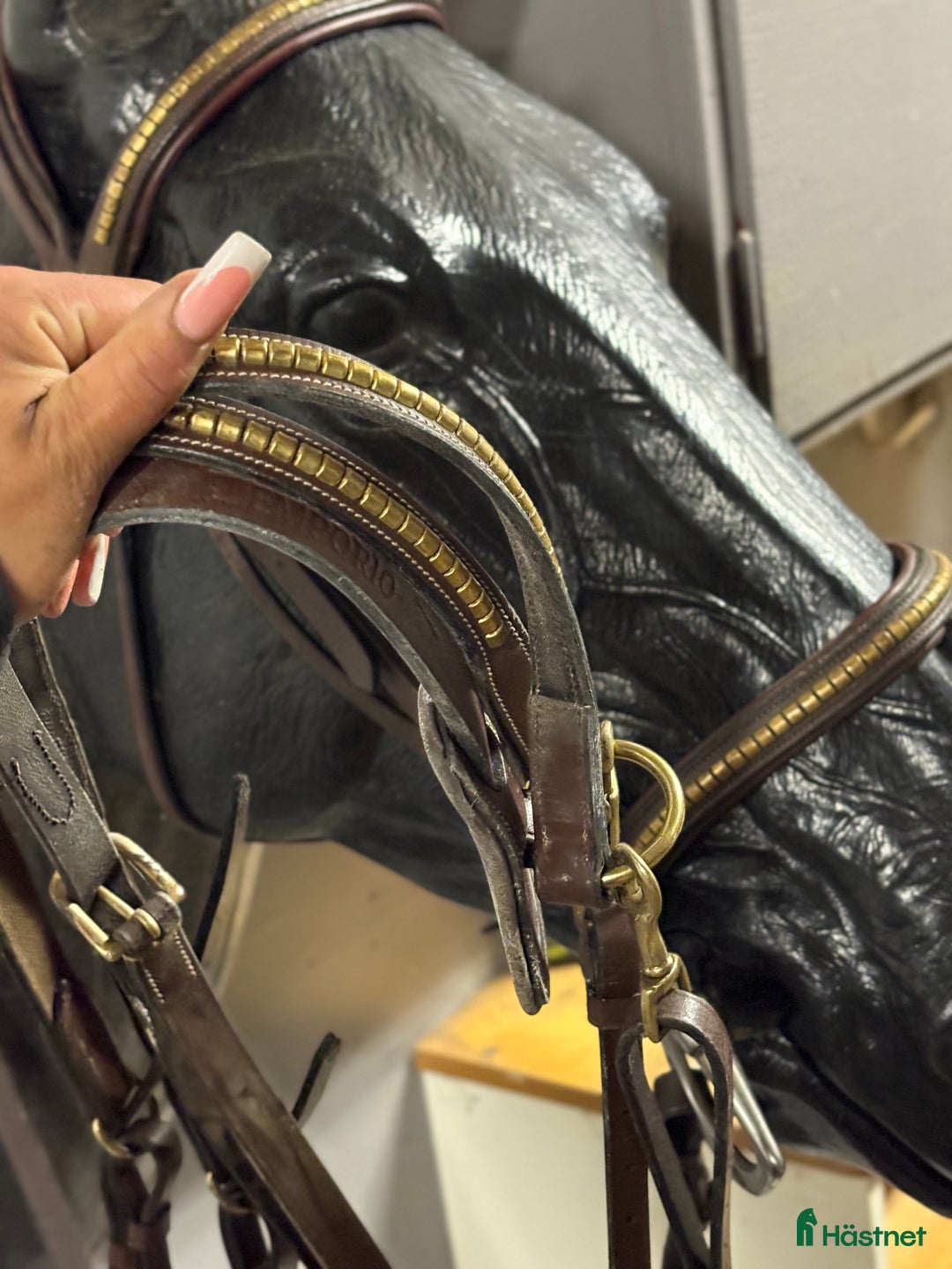 Träns hästutrustning till salu: Equipe Klinker + equipe förbygel klinker i Allerum - Annons 3