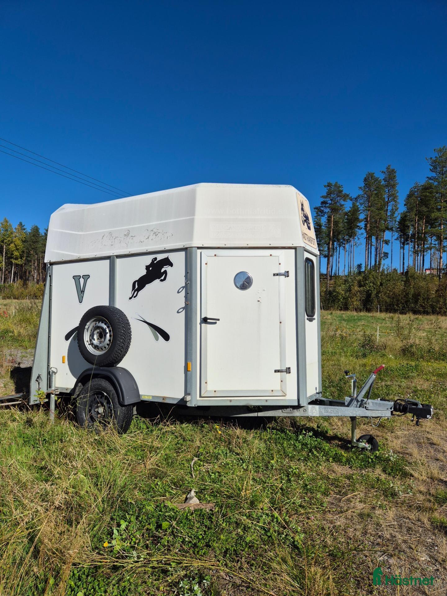 Hästtransporter  fordon & transport till salu: B-körkorts hästtransport  - Annons 1