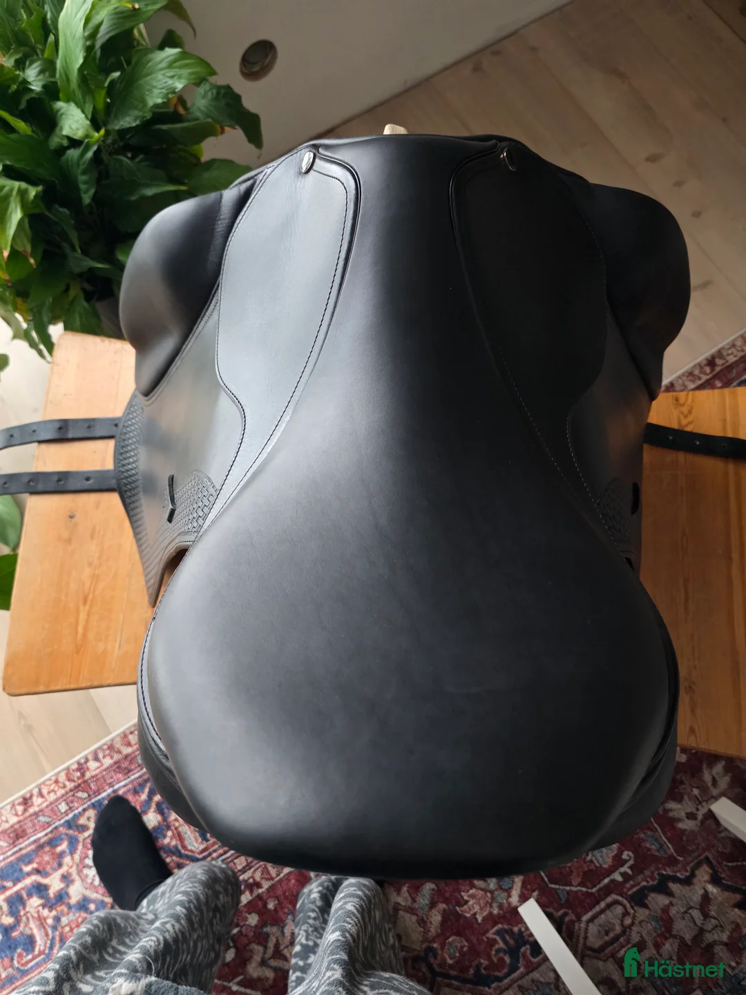 Sadlar hästutrustning till salu: Ergo x2 trude basic b1 i Dala-järna - Annons 3