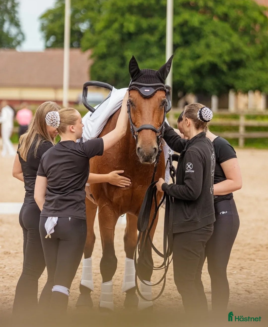 Övrigt hästar sökes: Snäll Voltigehäst sökes i Hässleholm - Annons 1