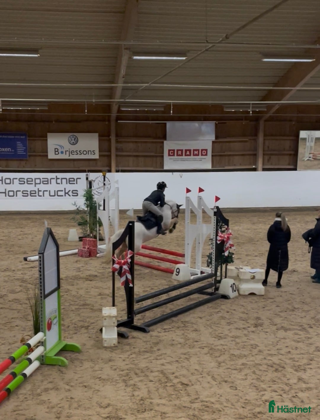 Allround hästar till salu: Blivande treåring, welsh sec B. i Strömsnäsbruk - Annons 14