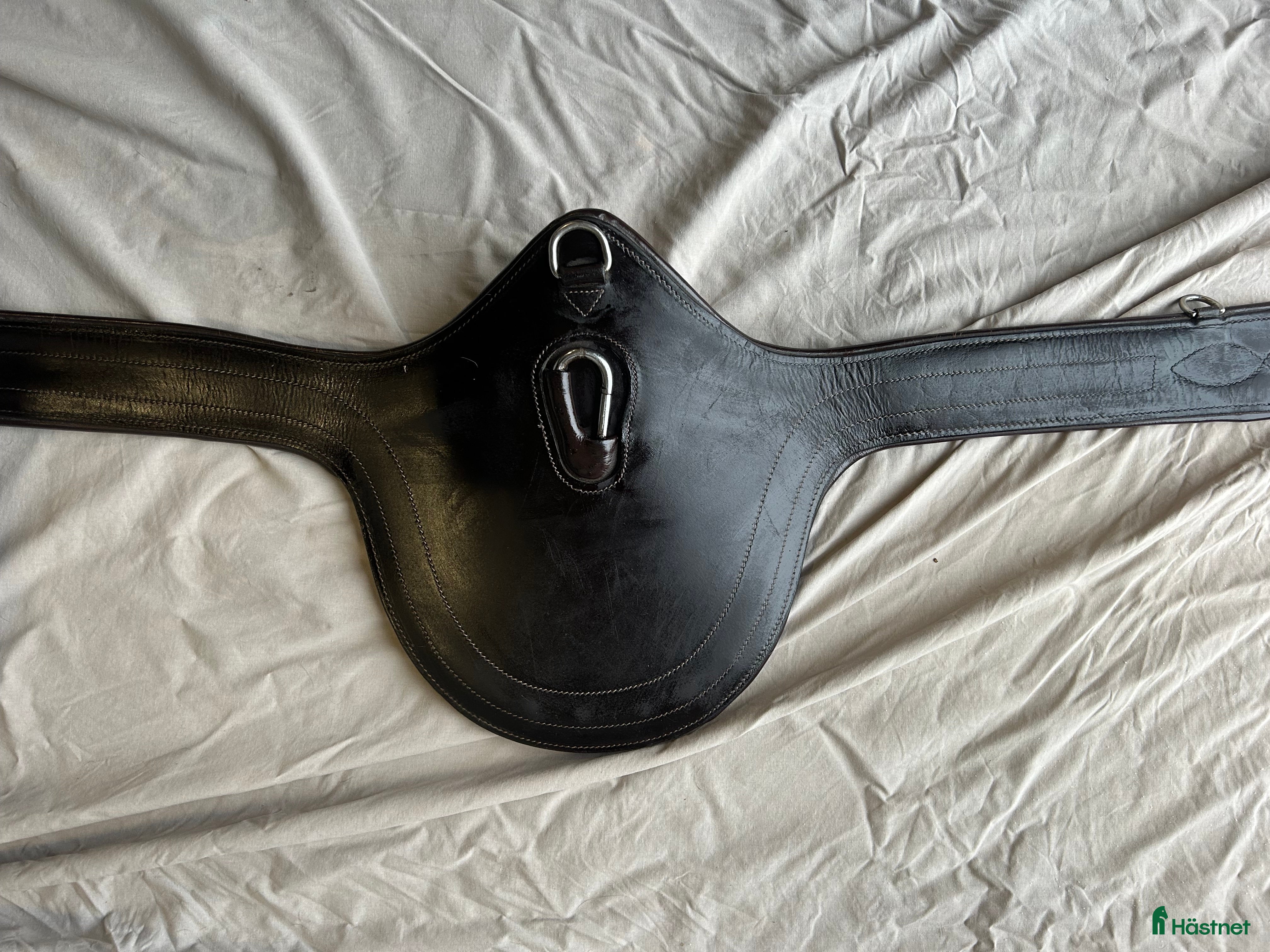 Sadeltillbehör hästutrustning till salu: Magplatta i Kristianstad - Annons 19