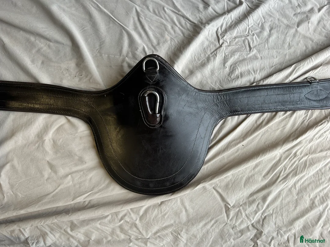 Sadeltillbehör hästutrustning till salu: Magplatta i Kristianstad - Annons 1