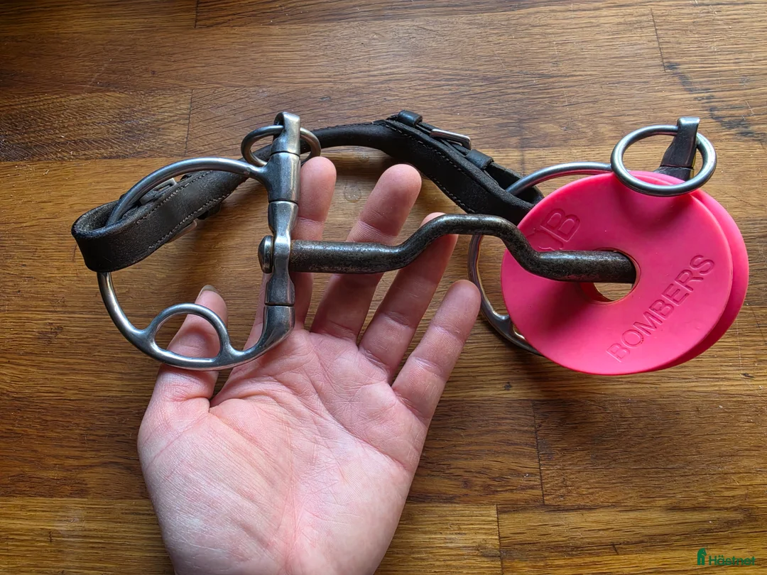 Bett hästutrustning till salu: Bombers DC Morgan - Annons 1