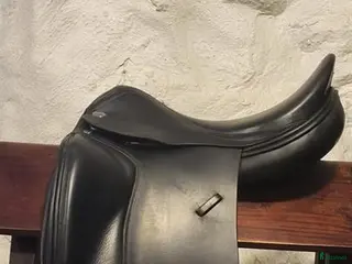 Sadlar hästutrustning Jaguar xkc i toppskick i Åstorp - Annons 12