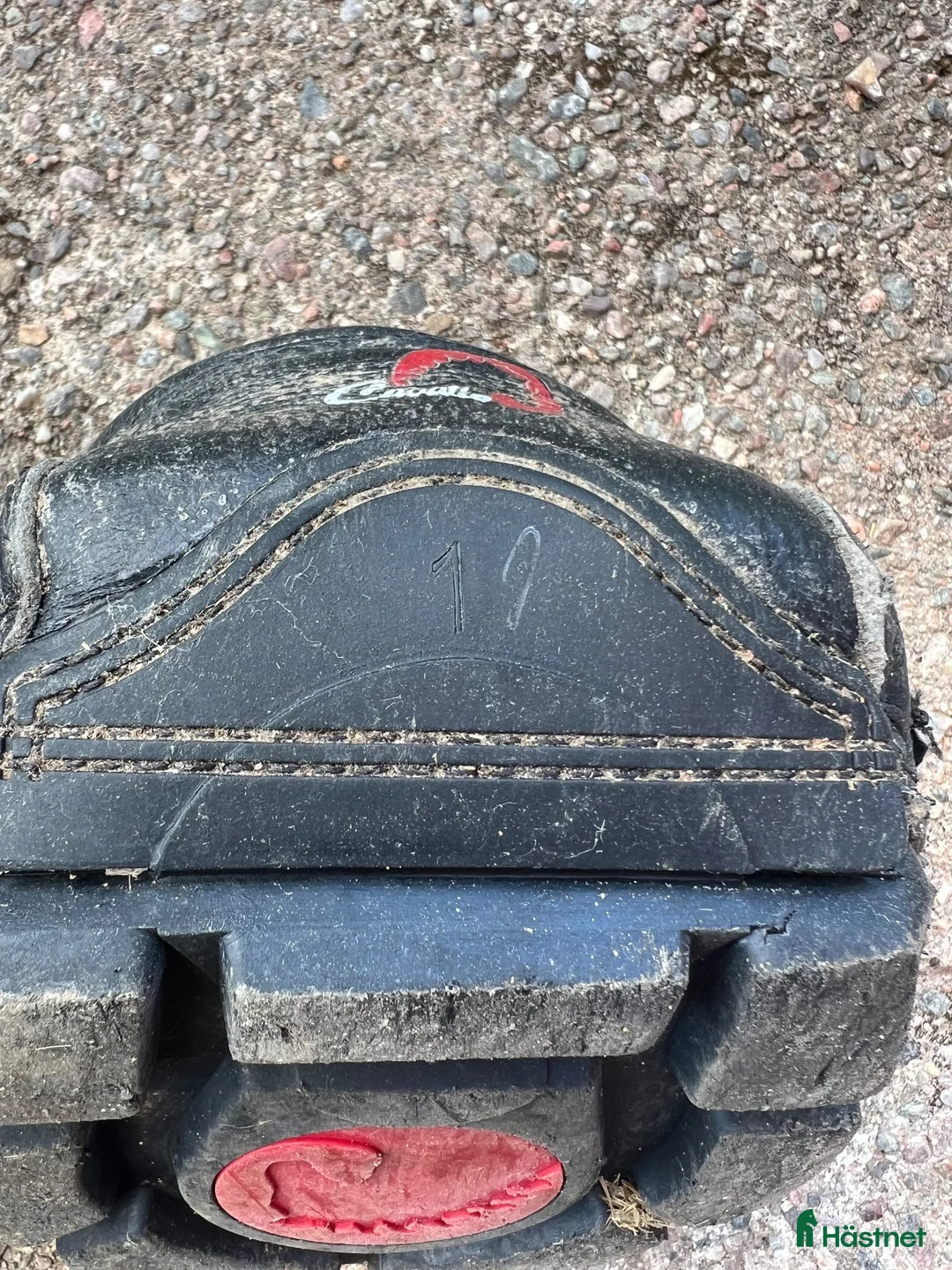 Övrig Hästutrustning hästutrustning till salu: Cavallo boots  - Annons 6