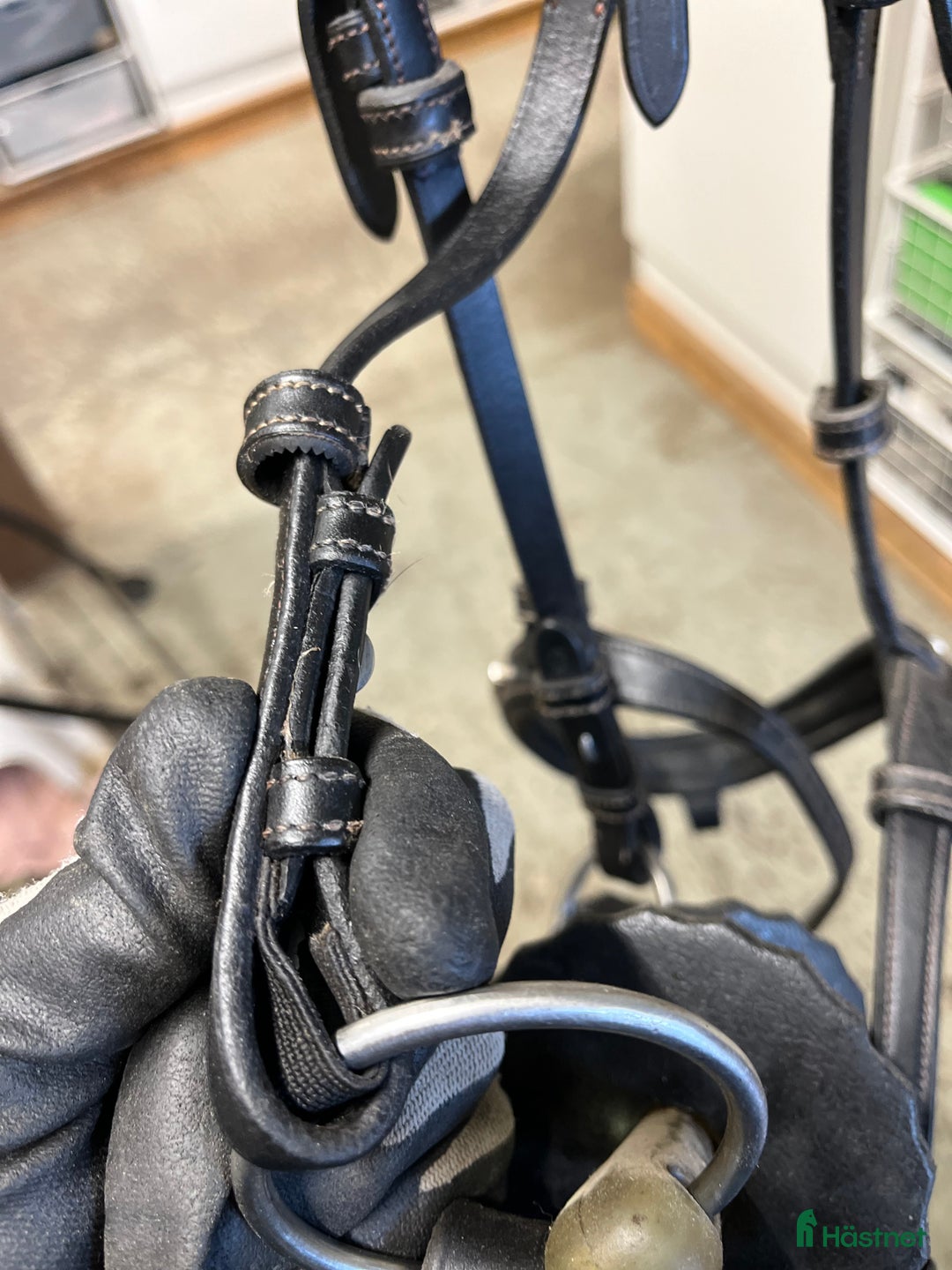 Träns hästutrustning till salu: Ps träns modell Antwerpen  i Växjö - Annons 6