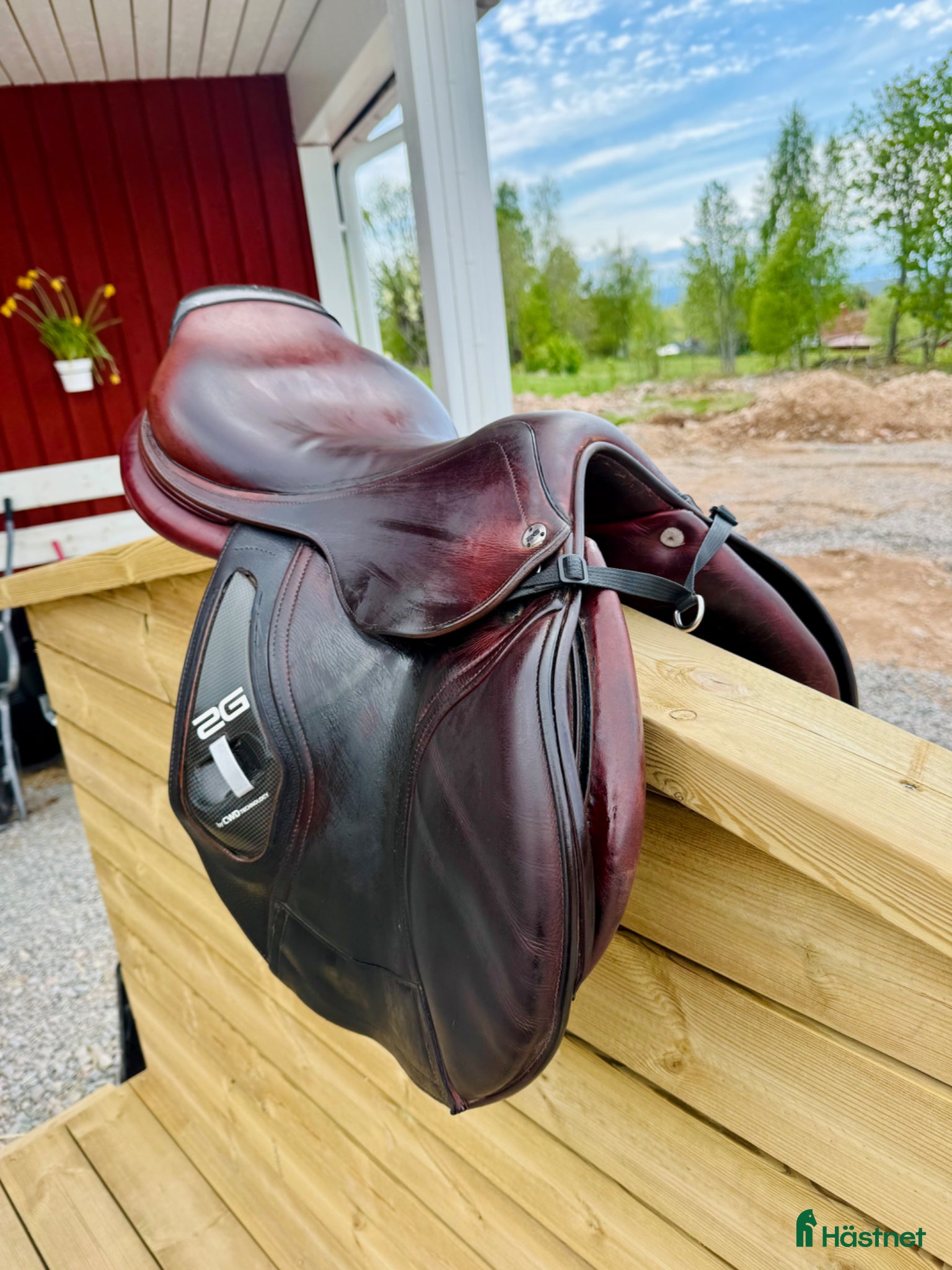 Sadlar hästutrustning Cwd 2g - Annons 7