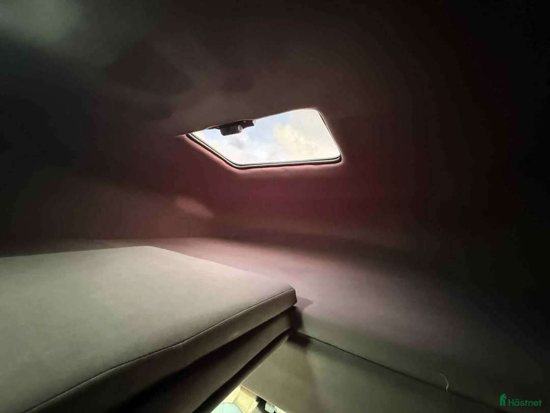 Hästlastbilar  fordon & transport till salu: PARAGAN GRAND PRESTIGE  i Köping - Annons 18