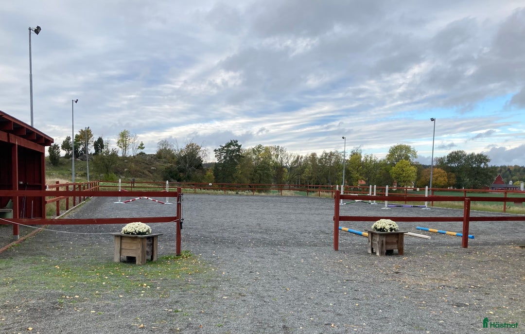  stallplats finnes: Stallplats i mindre stall i Söderköping - Annons 4