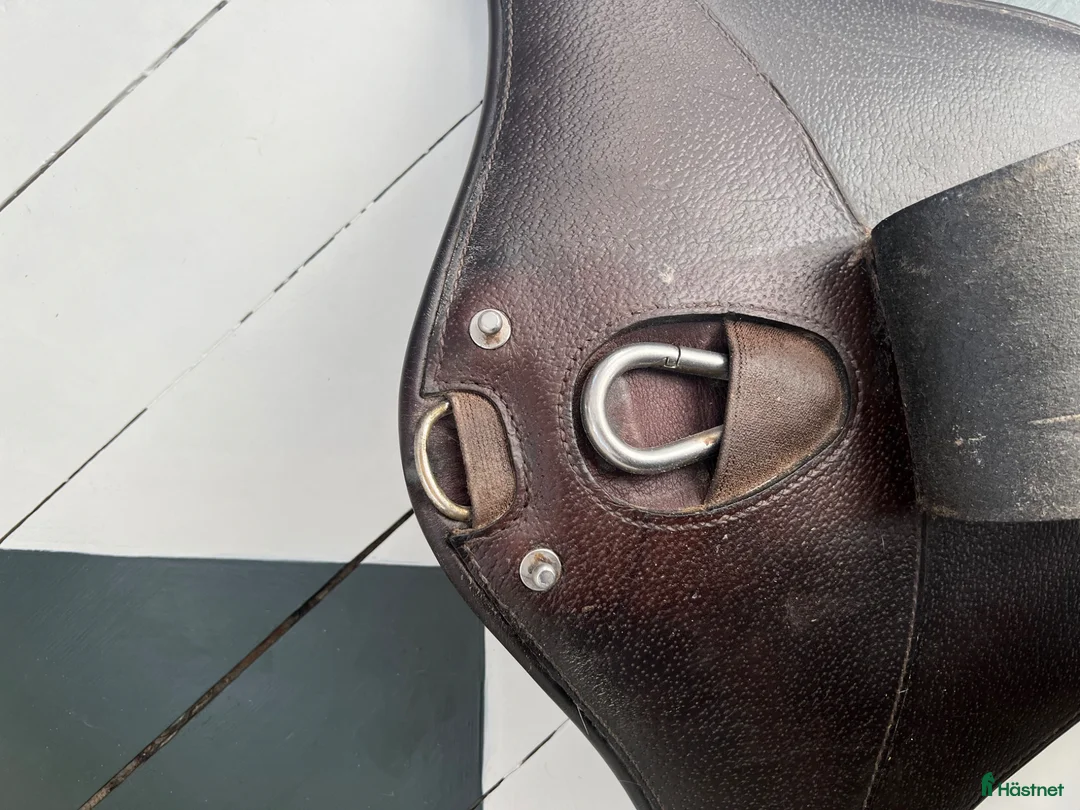 Sadeltillbehör hästutrustning till salu: Equipe magplatta o sadelgjord - Annons 4