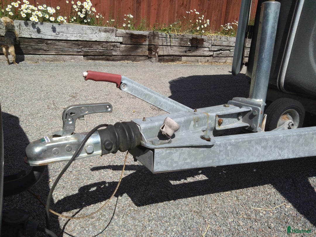 Hästtransporter  fordon & transport till salu: RAUSCH ELITE XL (besiktigad till 2026-04-30) i Järna - Annons 11