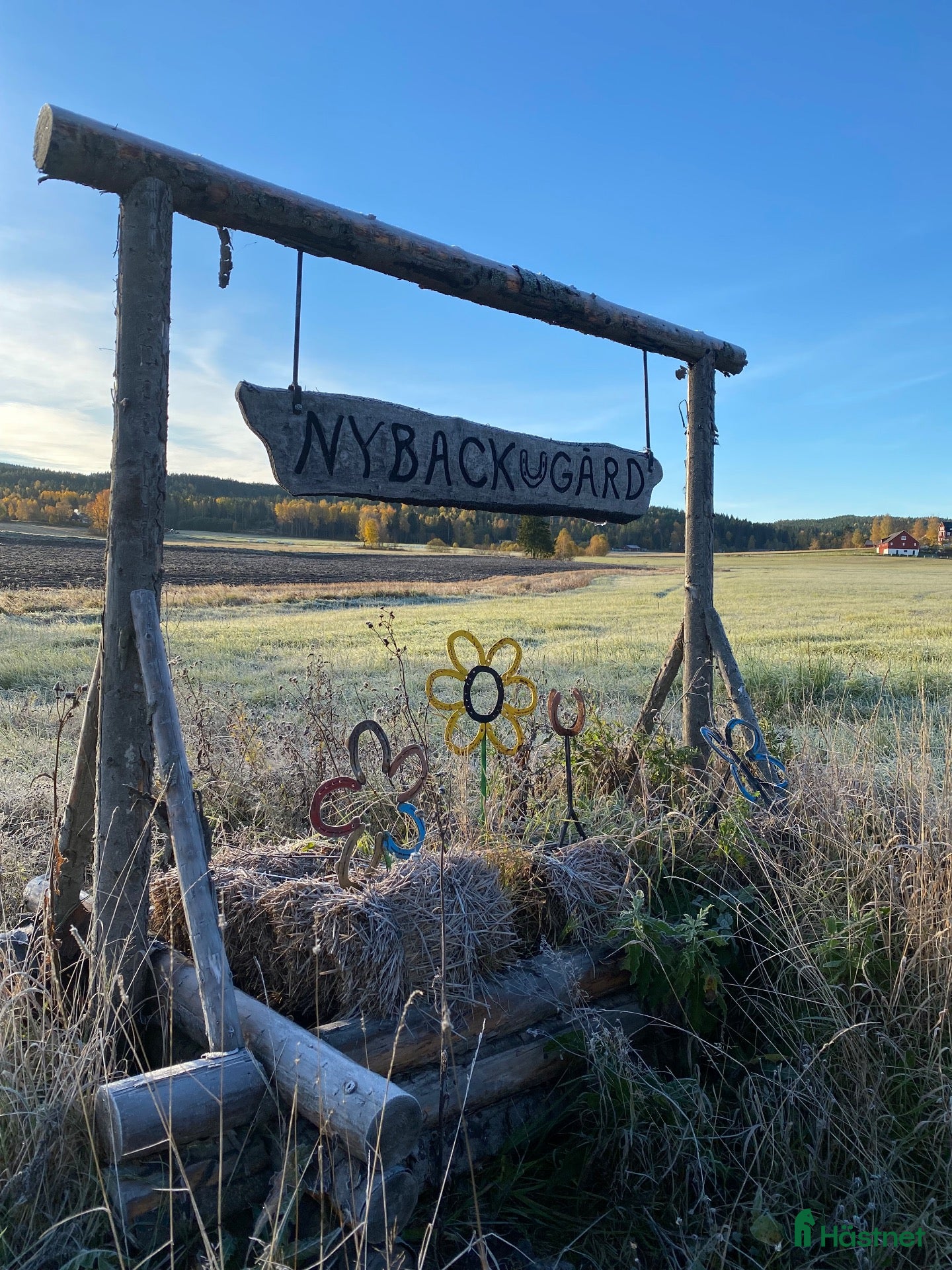 stallplats 🌟 Nybackgård har lediga platser 🌟 - Annons 3