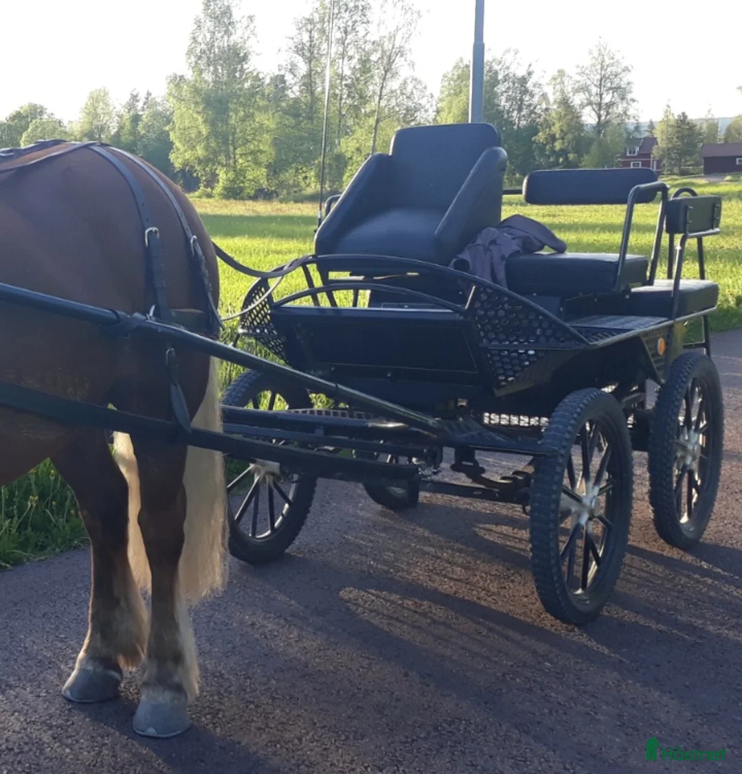 Körvagnar körning till salu: Fin maratonvagn  - Annons 1