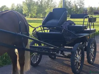 Körvagnar körning till salu: Fin maratonvagn - Annons 6