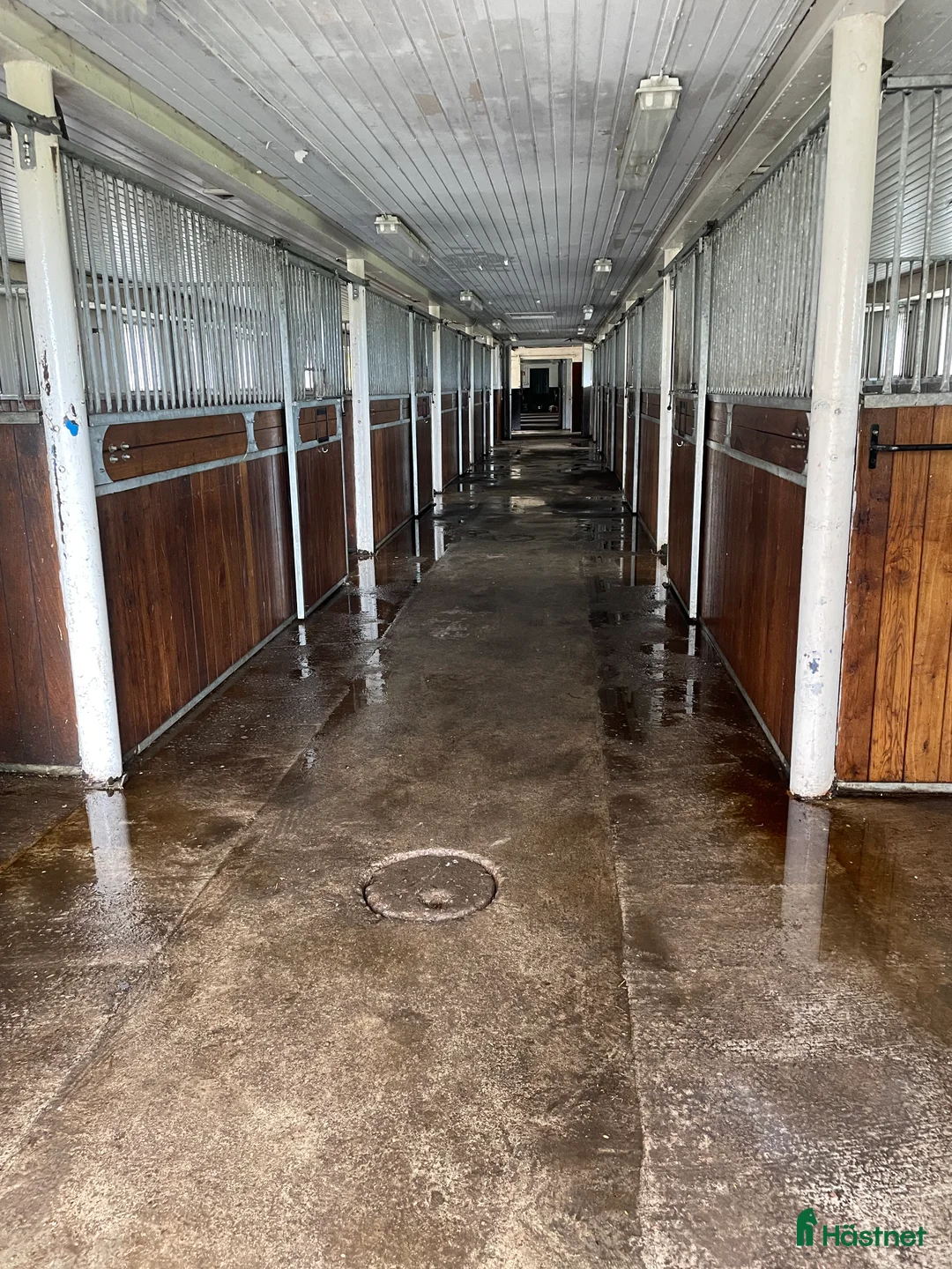  hästgårdar till salu: Stall med bostad i fantastisk miljö uthyres! i Hörby - Annons 4