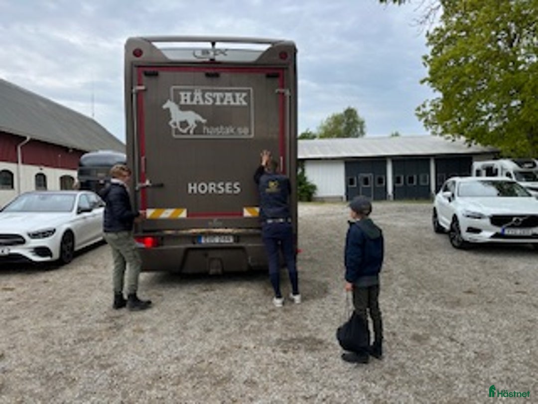  hästjobb finnes: HÄSTSKÖTARE till HÄSTAK i Älmeboda - Annons 4