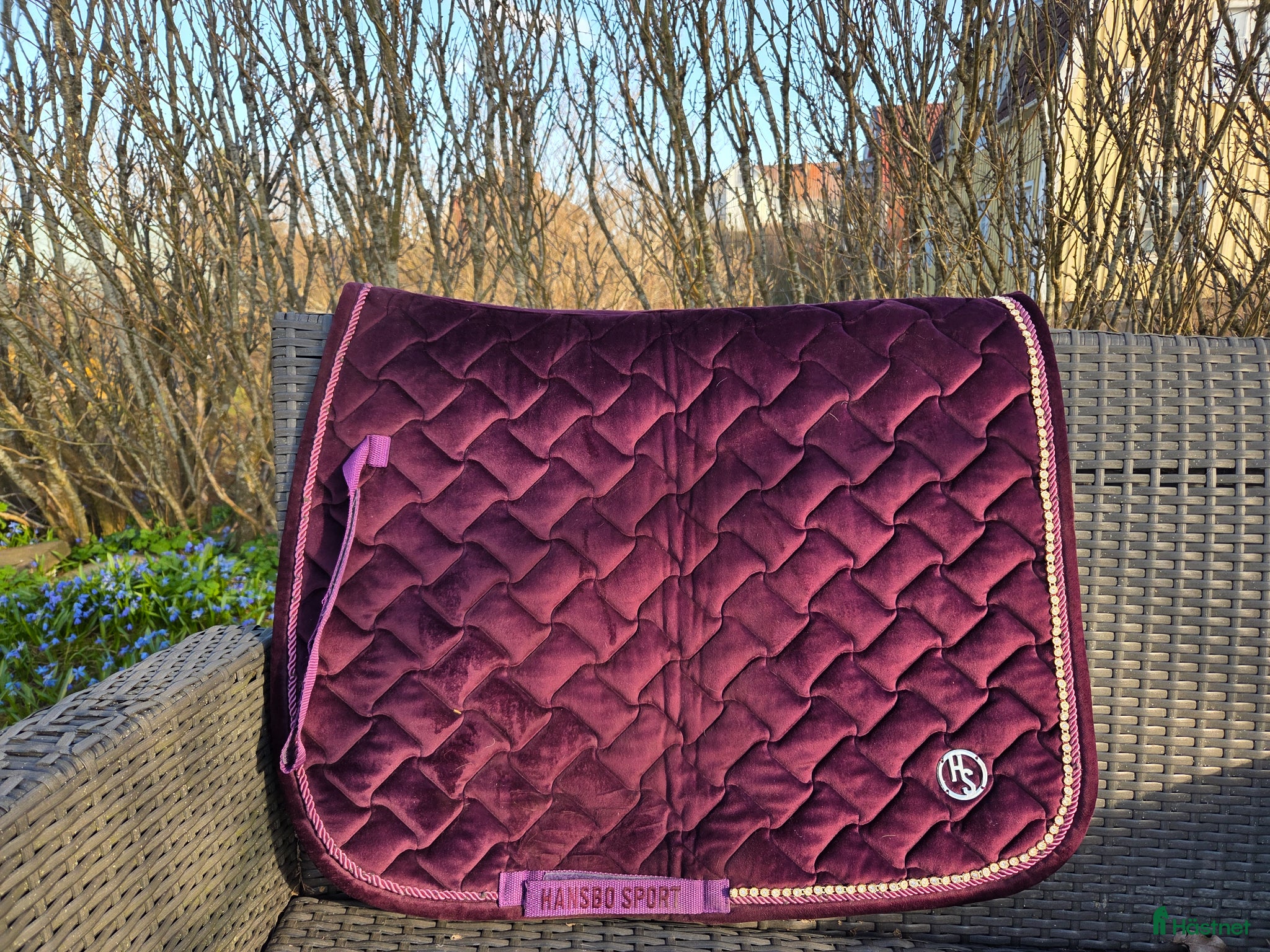 Schabrak & Vojlockar hästutrustning Dressyrschabrak  - Annons 14