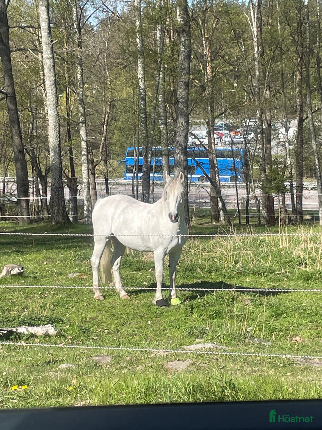  stallplats finnes: Lediga boxplatser i Vallentuna - Annons 15