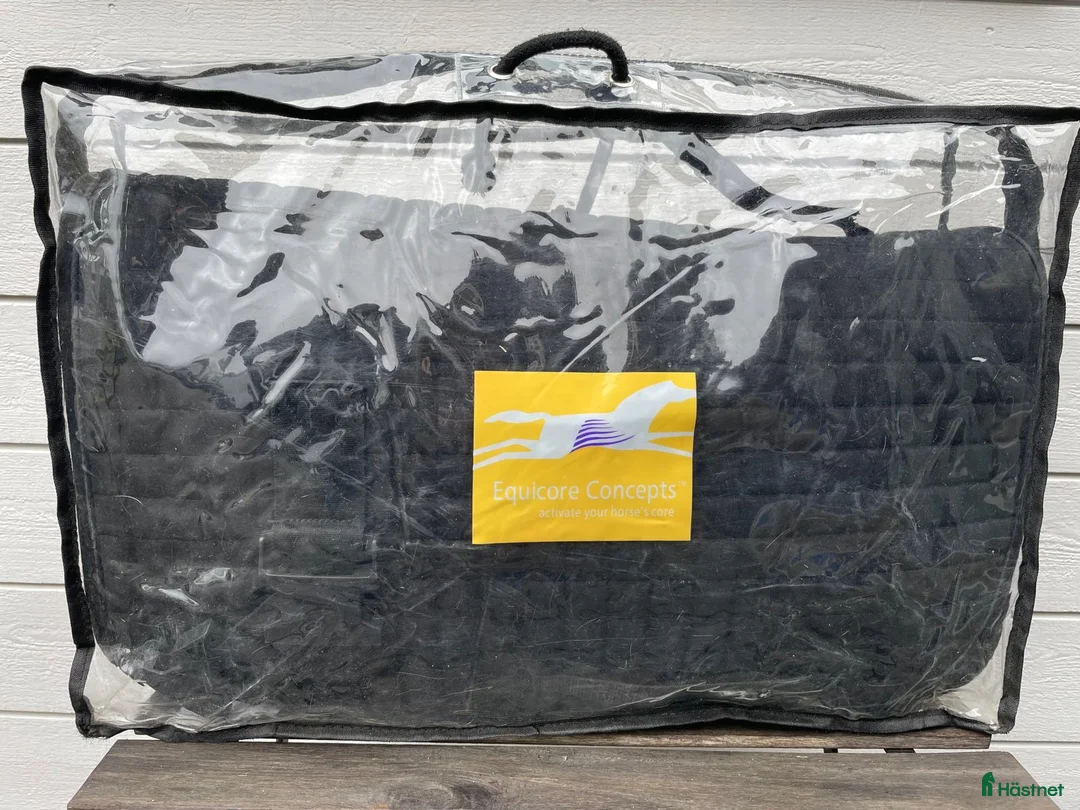 Schabrak & Vojlockar hästutrustning till salu: Equiband Pro System regular med 4 band - Annons 2