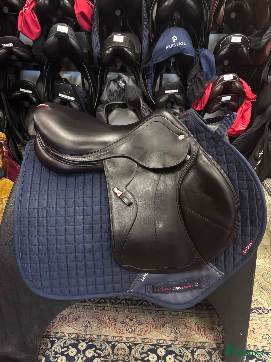 Sadlar hästutrustning till salu: Equipe Synergy 17" - Annons 2