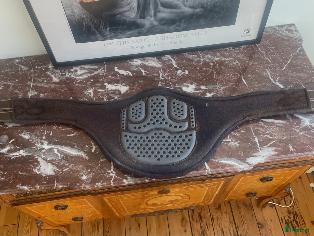 Sadeltillbehör hästutrustning till salu: Acavallo anatomisk gel-magplatta🌟 - Annons 2