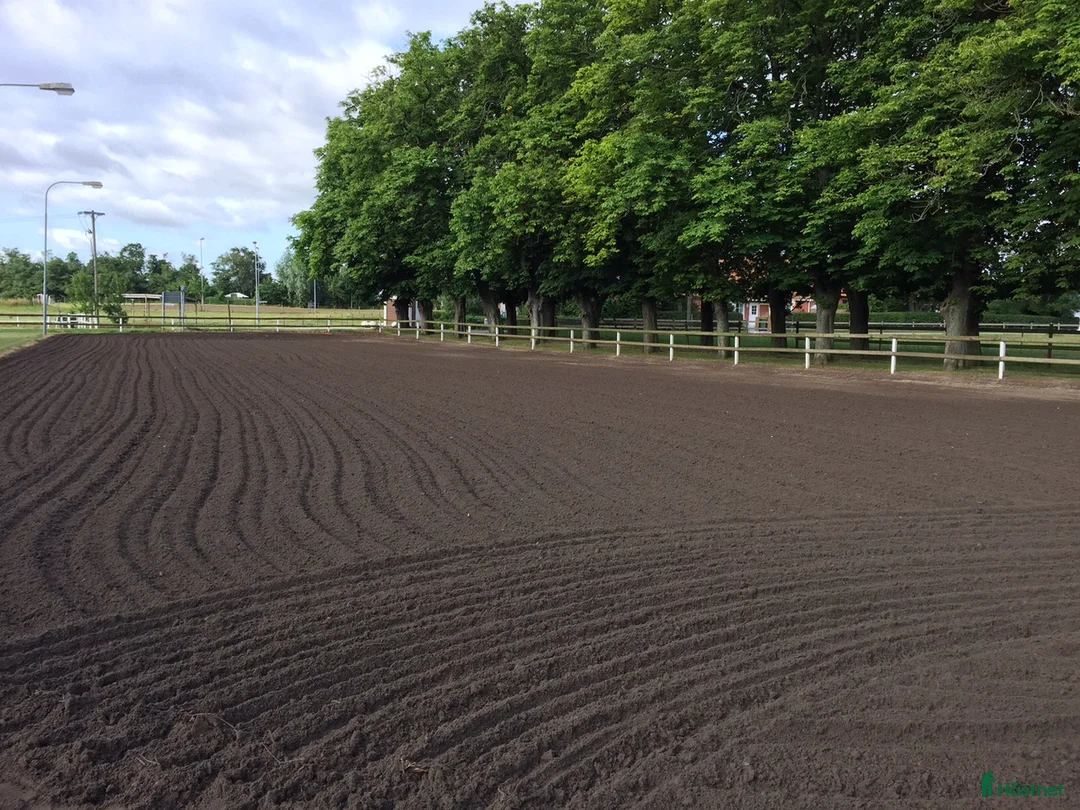  stallplats finnes: Ledig boxplats/lösdrift mellan Malmö/Lund i Staffanstorp - Annons 4