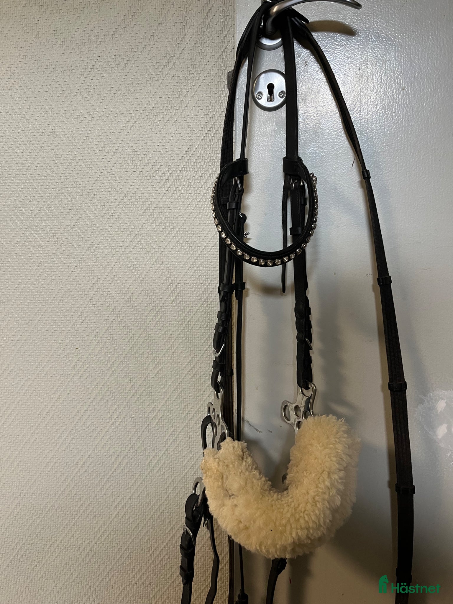 Träns hästutrustning Hackamore träns - Annons 2