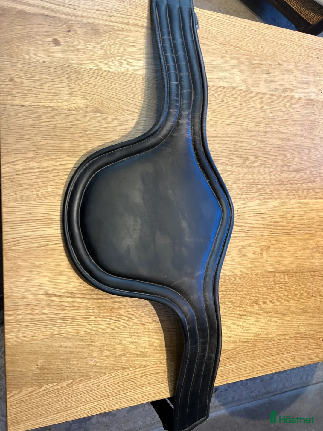 Sadeltillbehör hästutrustning till salu: Equipe magplatta - Annons 6