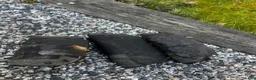 Benskydd hästutrustning till salu: Terrängskydd - Annons 1