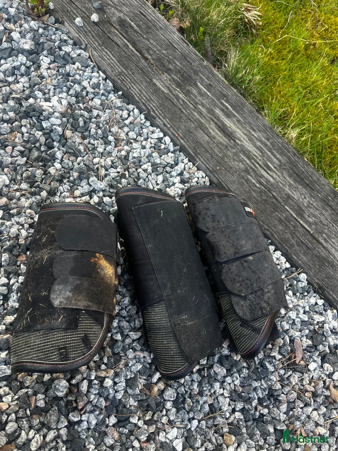 Benskydd hästutrustning till salu: Terrängskydd - Annons 1