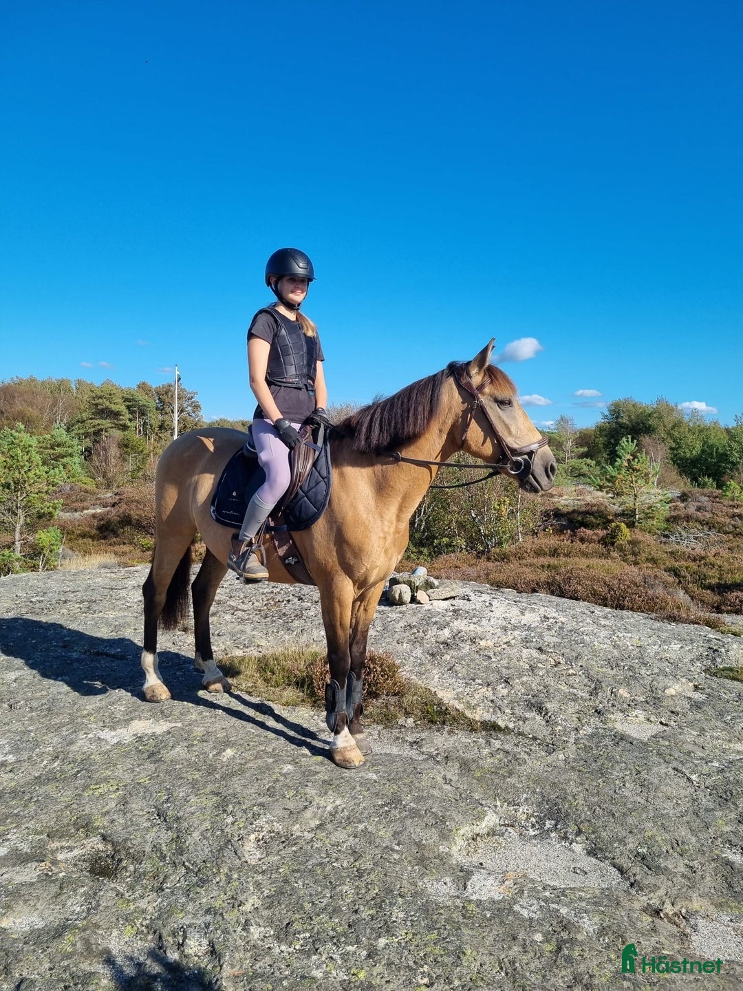 Allround hästar till salu: Hoppglad D-ponny i Lysekil - Annons 3