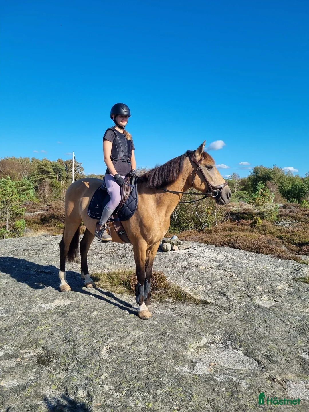 Allround hästar till salu: Hoppglad D-ponny i Lysekil - Annons 3