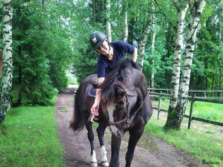 medryttarhäst finnes: Medryttare till tidigare Grand Prixhäst i Björklinge - Annons 10