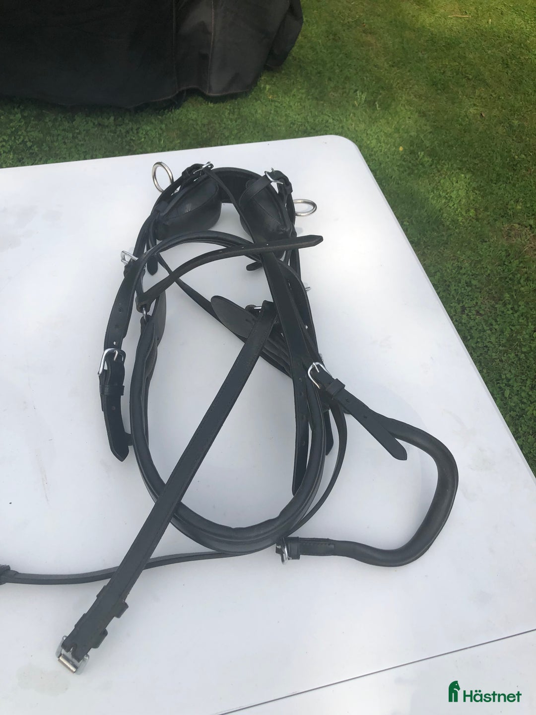 Övrig Ryttarutrustning ryttarutrustning till salu: Utrustning till minishettis i Väröbacka - Annons 2