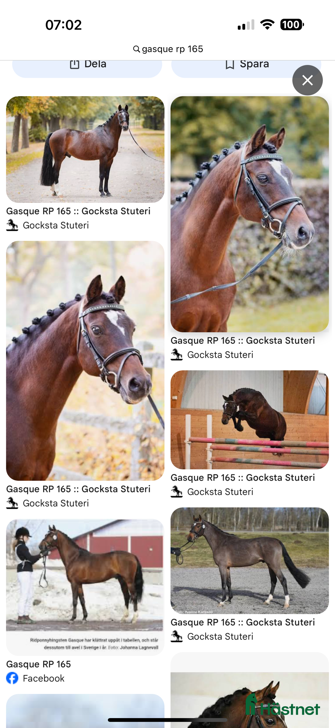 Fälttävlan hästar till salu: Lyxig D-ponny för hoppning  i Skivarp - Annons 3