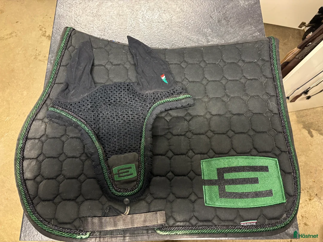 Schabrak & Vojlockar hästutrustning till salu: Stilrena och bekväma hästschabrak  - Annons 4