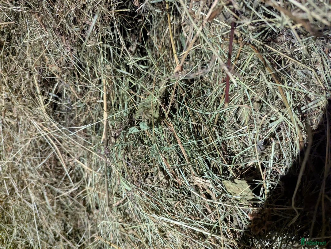 Övrig utrustning övrig utrustning till salu: Löshö - Annons 2