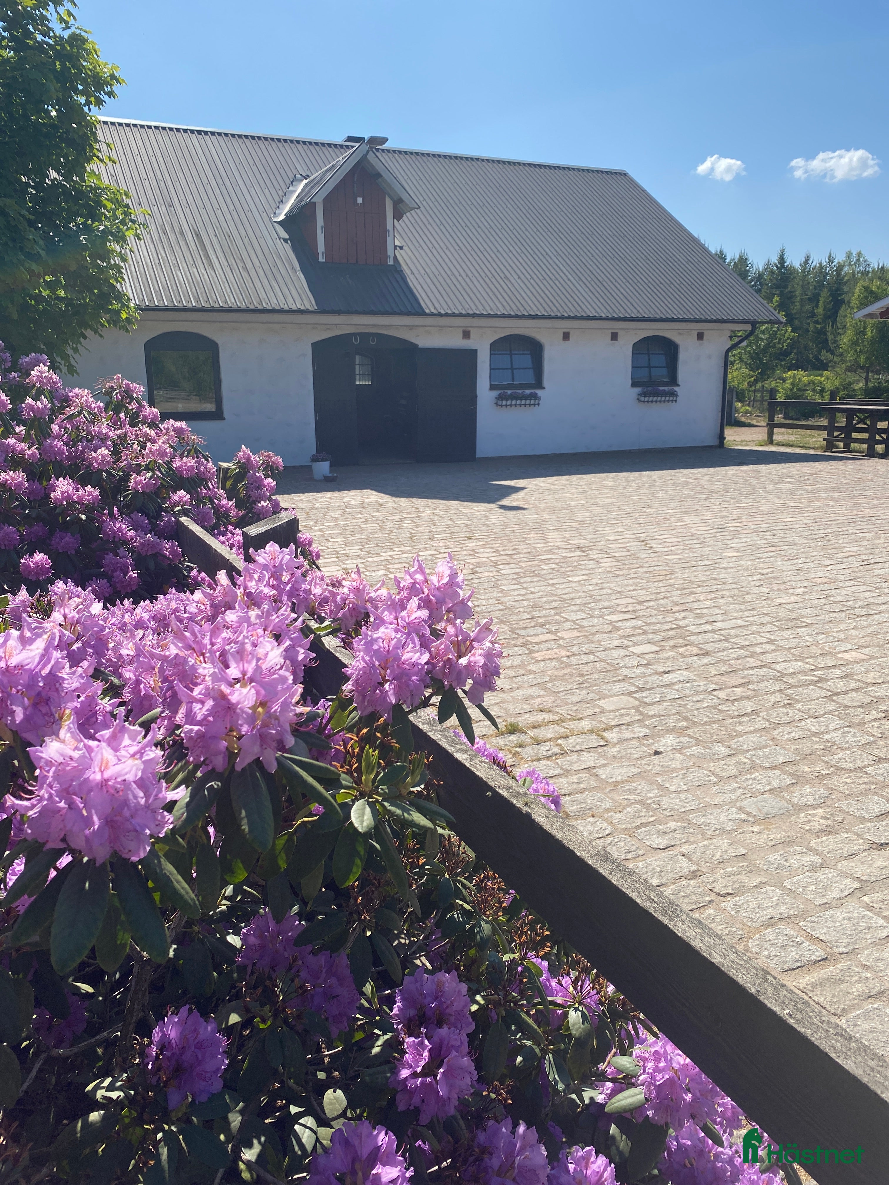  stallplats Box Ledig i Skövde - Annons 4