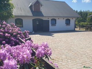 stallplats Box Ledig i Skövde - Annons 4