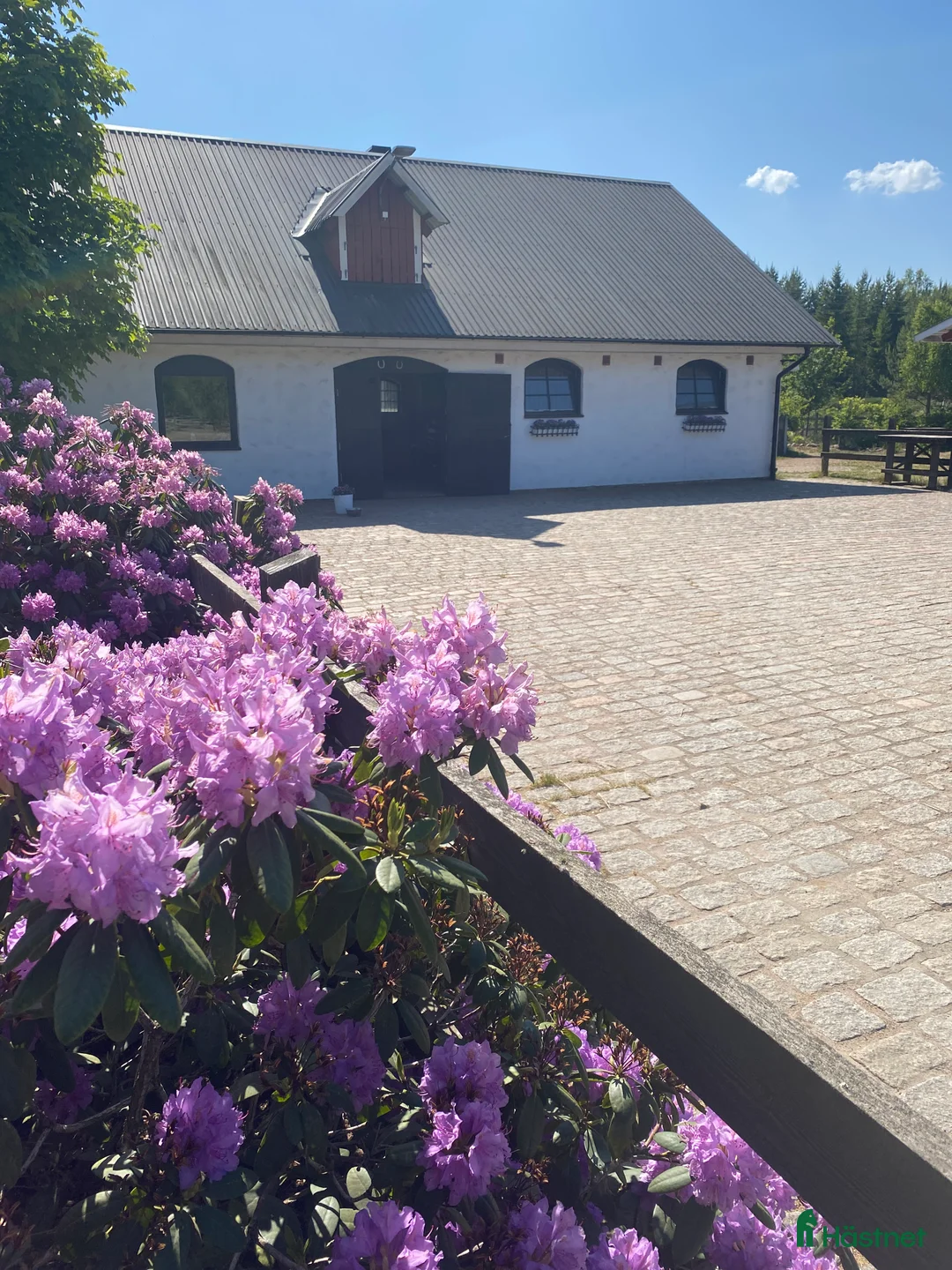  stallplats finnes: Box Ledig i Skövde - Annons 1