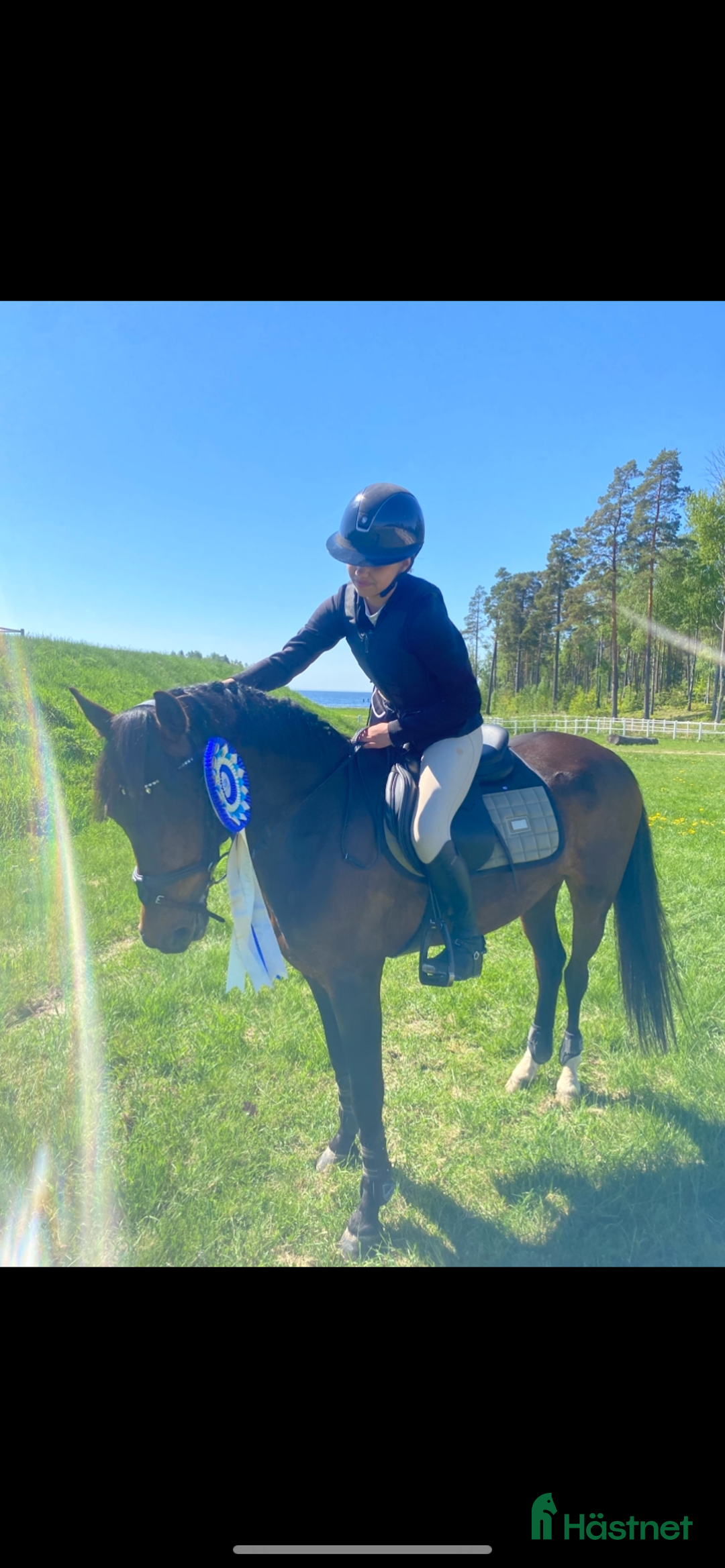 Hoppning hästar till salu: C-Ponny  i Hallstahammar - Annons 1