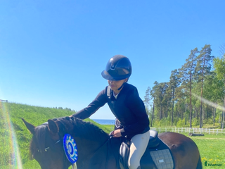 hästar C-Ponny i Hallstahammar - Annons 17