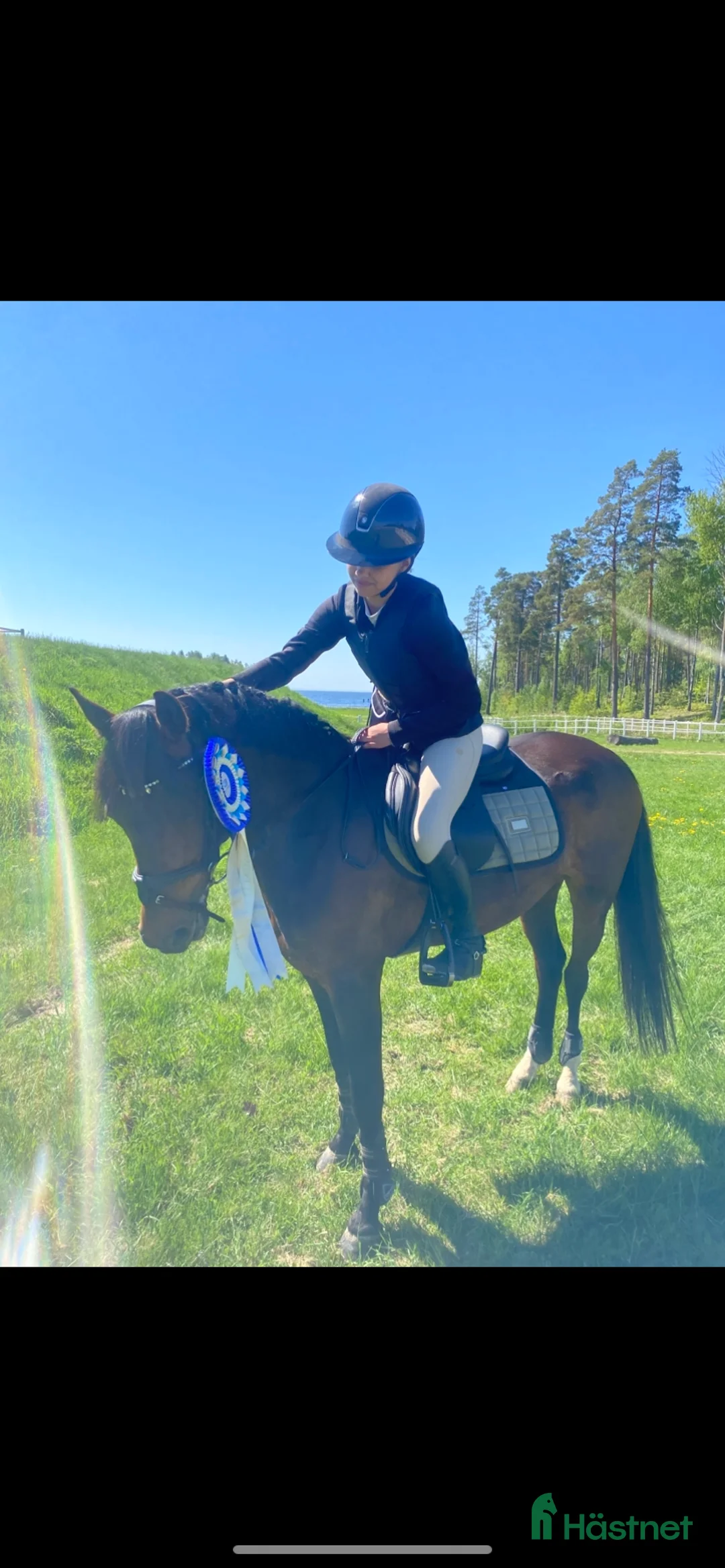 Hoppning hästar till salu: C-Ponny  i Hallstahammar - Annons 1