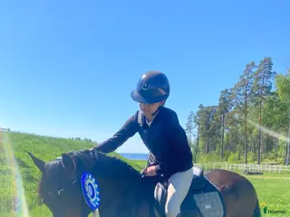 hästar C-Ponny i Hallstahammar - Annons 17