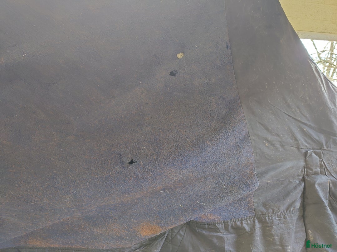 Täcken hästutrustning till salu: Tjockt vattenavvisande vintertäcke i Kista - Annons 11