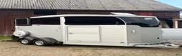 Hästtransporter  fordon & transport till salu: 2021, 1 ägare, v-hjul, vikt 1.950kg, BYTE, MOMS! i Lilla Edet - Annons 1
