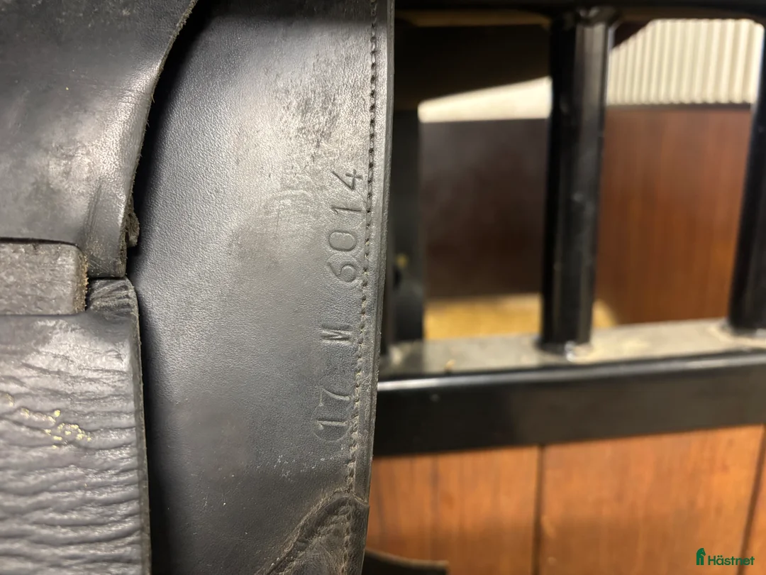 Sadlar hästutrustning till salu: Frank Baines  i Leksand - Annons 5