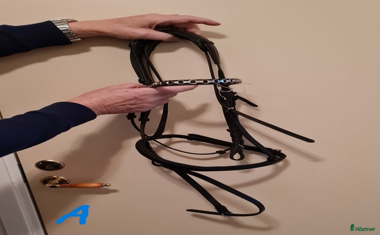 Träns hästutrustning till salu i Umeå - Annons 17